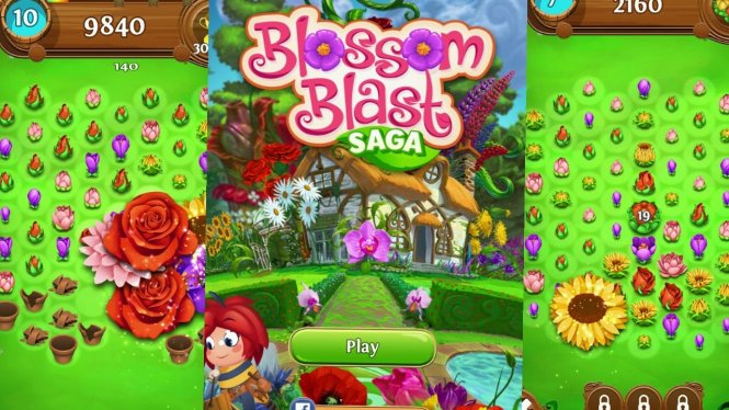 Логотип Blossom Blast Saga