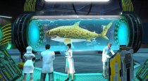 Взломанный Whale Shark Attack Simulator